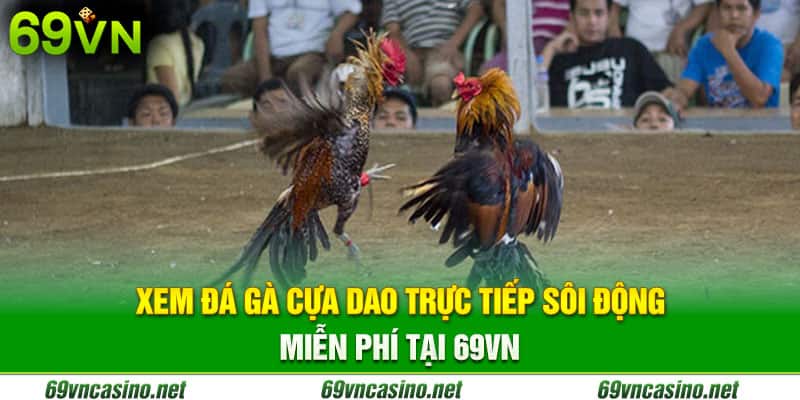 Trực tiếp đá gà cựa dao miễn phí tại nhà cái 69vn